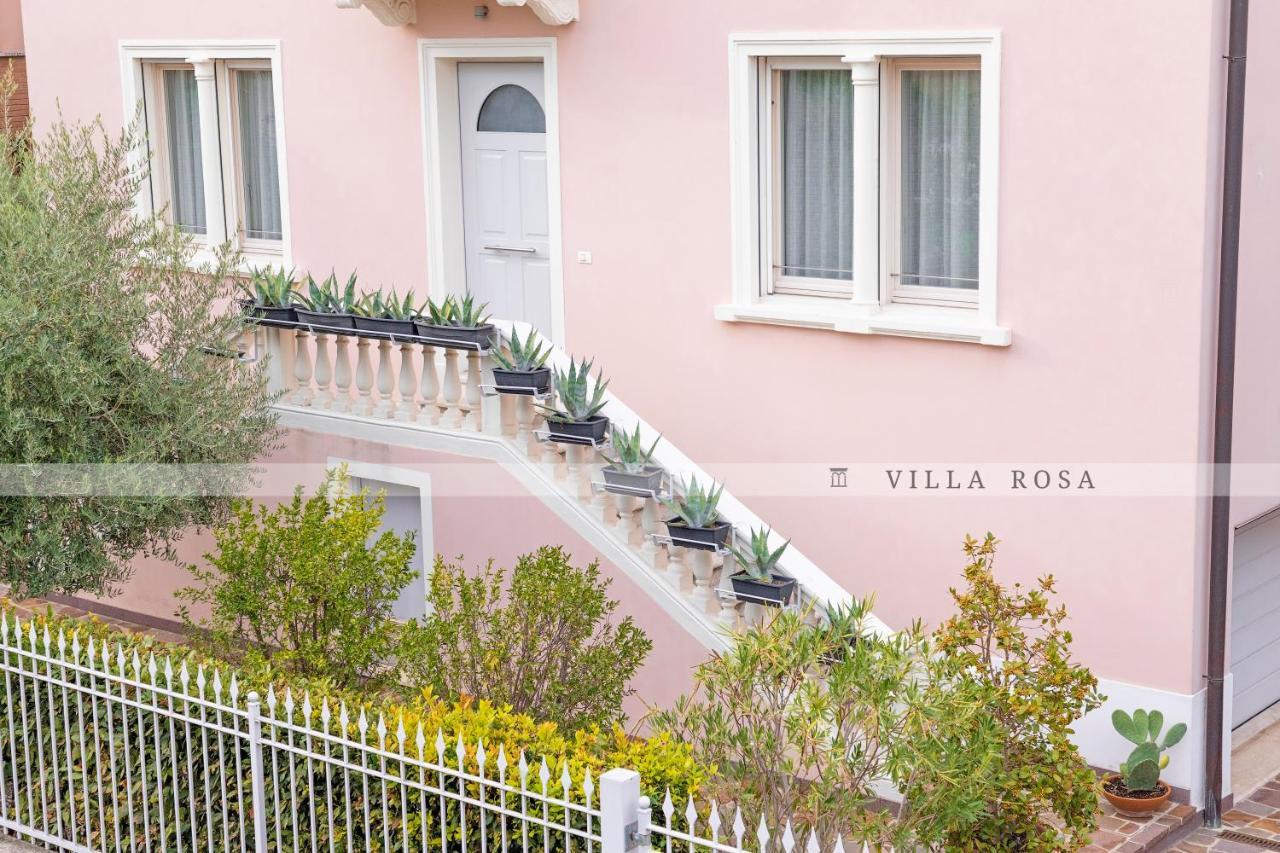 Rosa * Padova